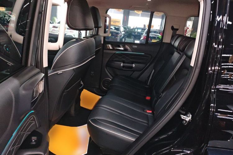 Used Tank 300 2024 2.0T Crosser
