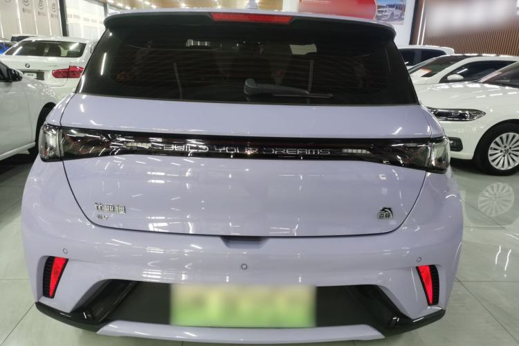 Used BYD Dolphin 2023 420 km Fashion Edition Rear