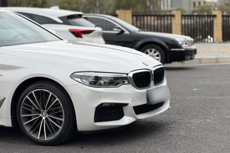 Used BMW 5 Series 2020 530Li Luxury Edition M Sport Package Exterior 9