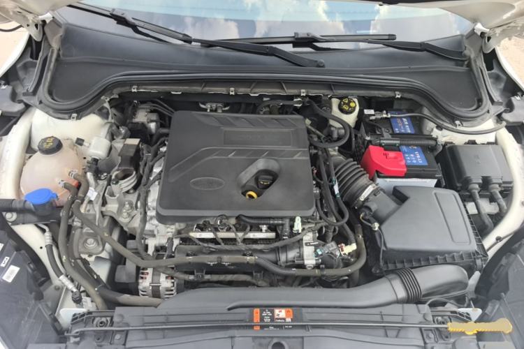 Used Ford Focus 2019 Sedan EcoBoost 180 Automatic Trend Edition