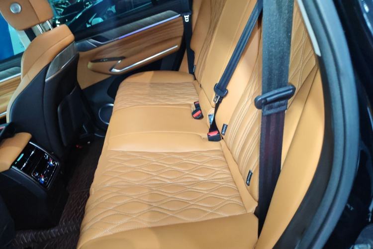 Used Tank 500 New Energy 2024 Hi4-T Left Rear Seat