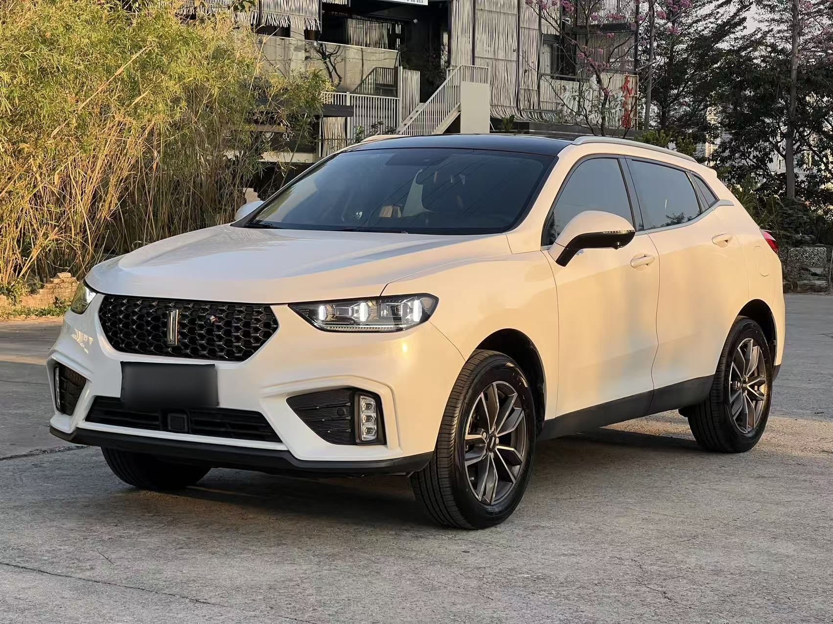 تحت مقدمة السيارة