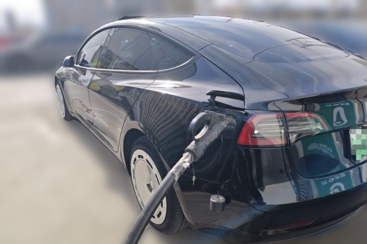 Used Tesla Model 3 2022 Rear-Wheel-Drive Version Rear Left 45 Deg