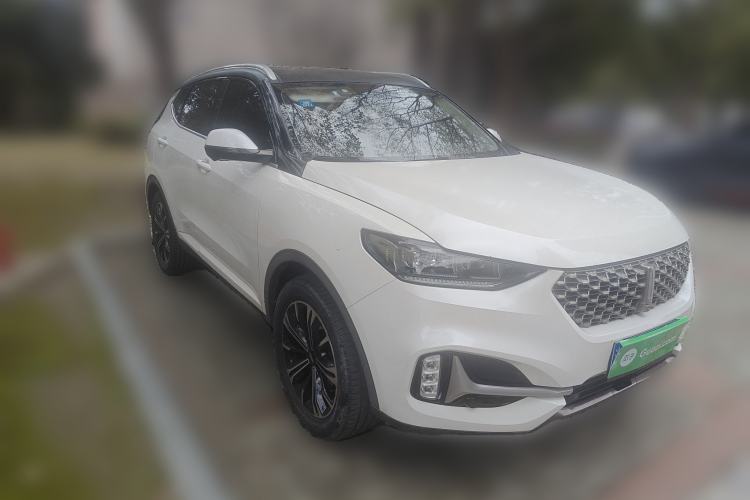 Used Wey VV6 2021 2.0T Two-Wheel Drive Smart Plus
