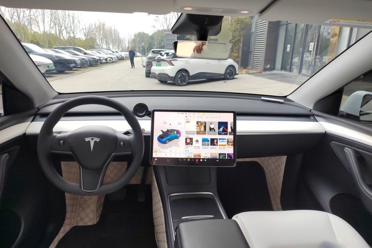 Used Tesla Model Y 2022 Rear-Wheel-Drive Version