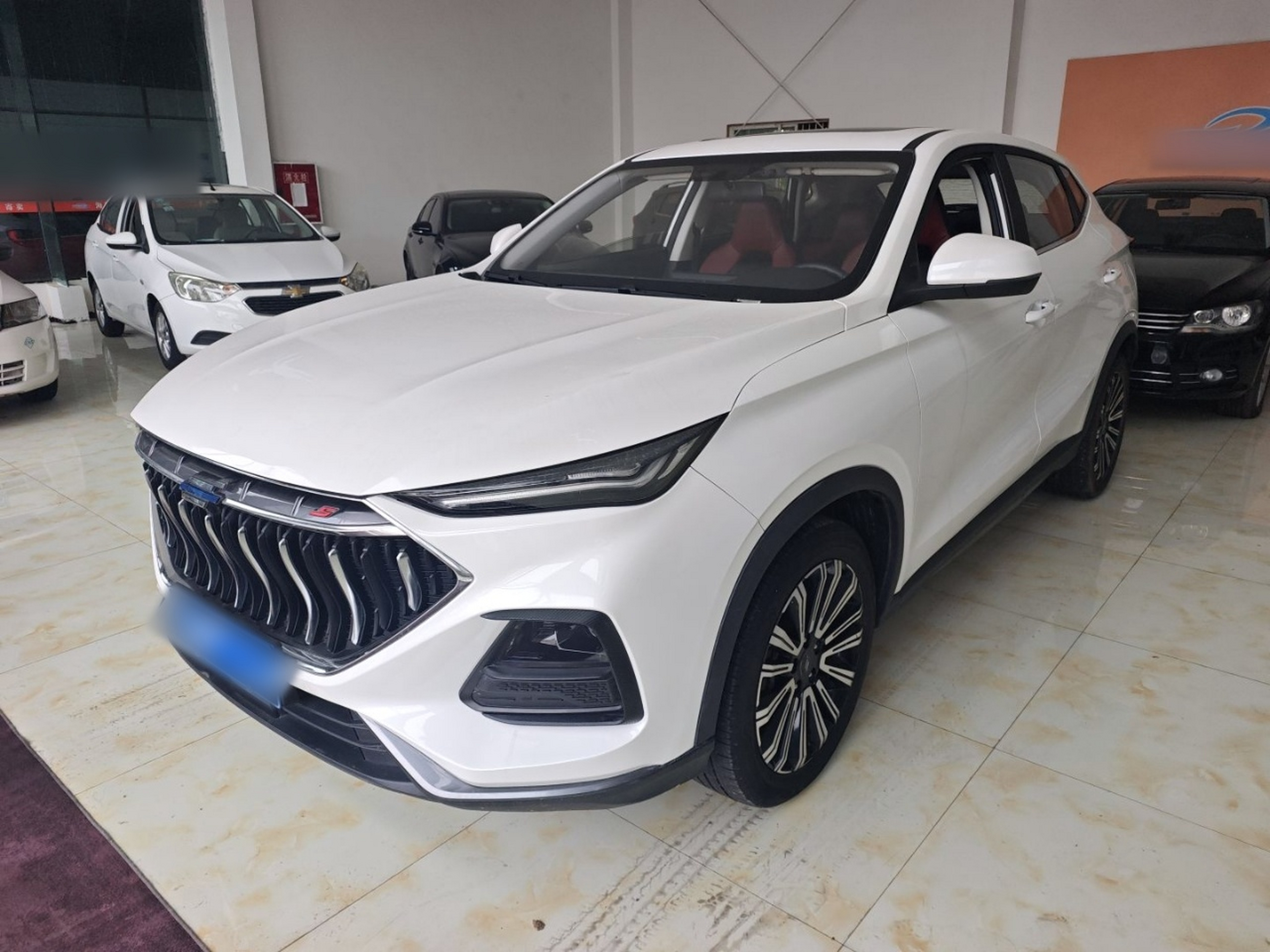 تحت مقدمة السيارة