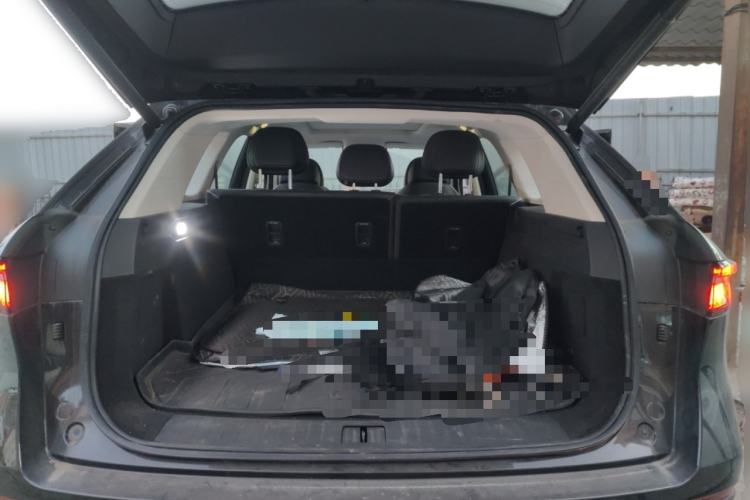 Used Chery Tiggo 9 2023 2.0T Dual-Clutch Two-Wheel Drive Leading Edition 5 Seats
