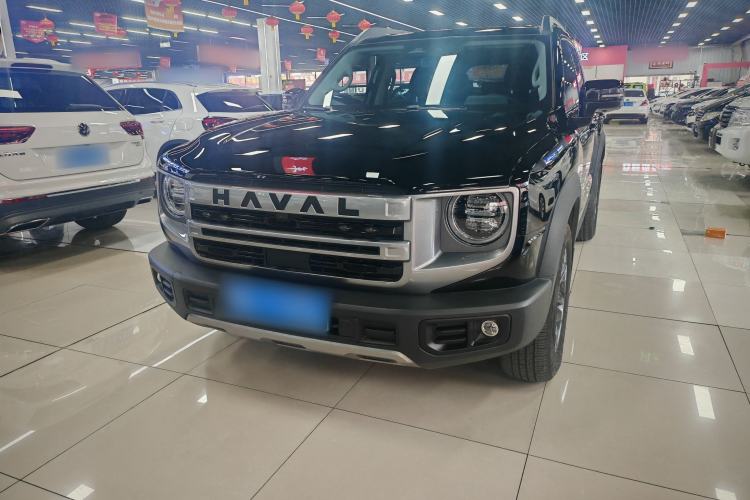 Used Haval DARGO 2024 2.0T DCT Chinese Rural Dog Edition