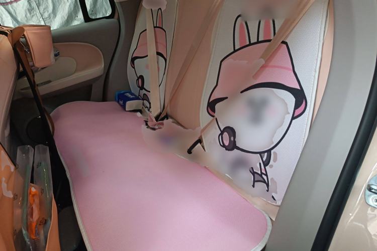 Used ORA Ballet Cat 2023 401 km Luxury Version