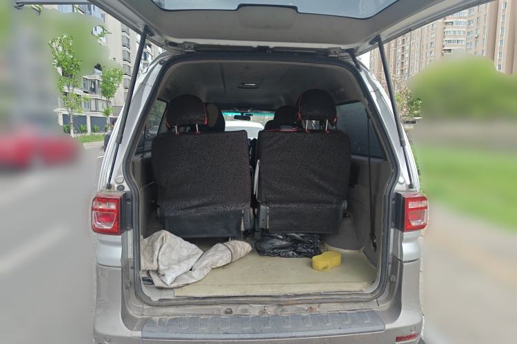 Used FORTHING Lingzhi  Trunk