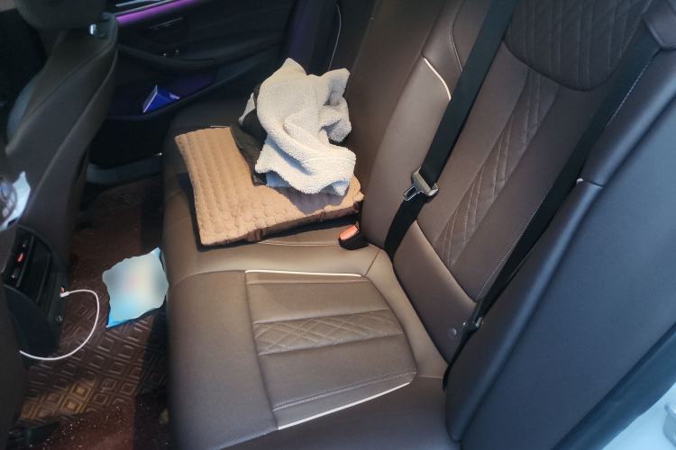 Used BMW 5 Series 2021 530Li xDrive Luxury Package