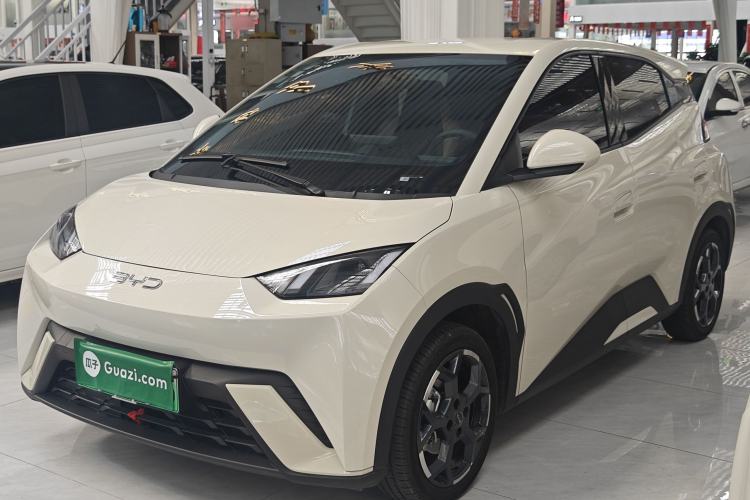 Used BYD Seagull 2025 305 km Free Version