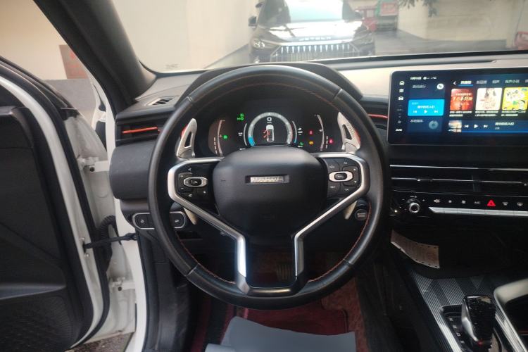 Used Haval LHERY 2021 High-Performance Version 1.5T Golden Rabbit
