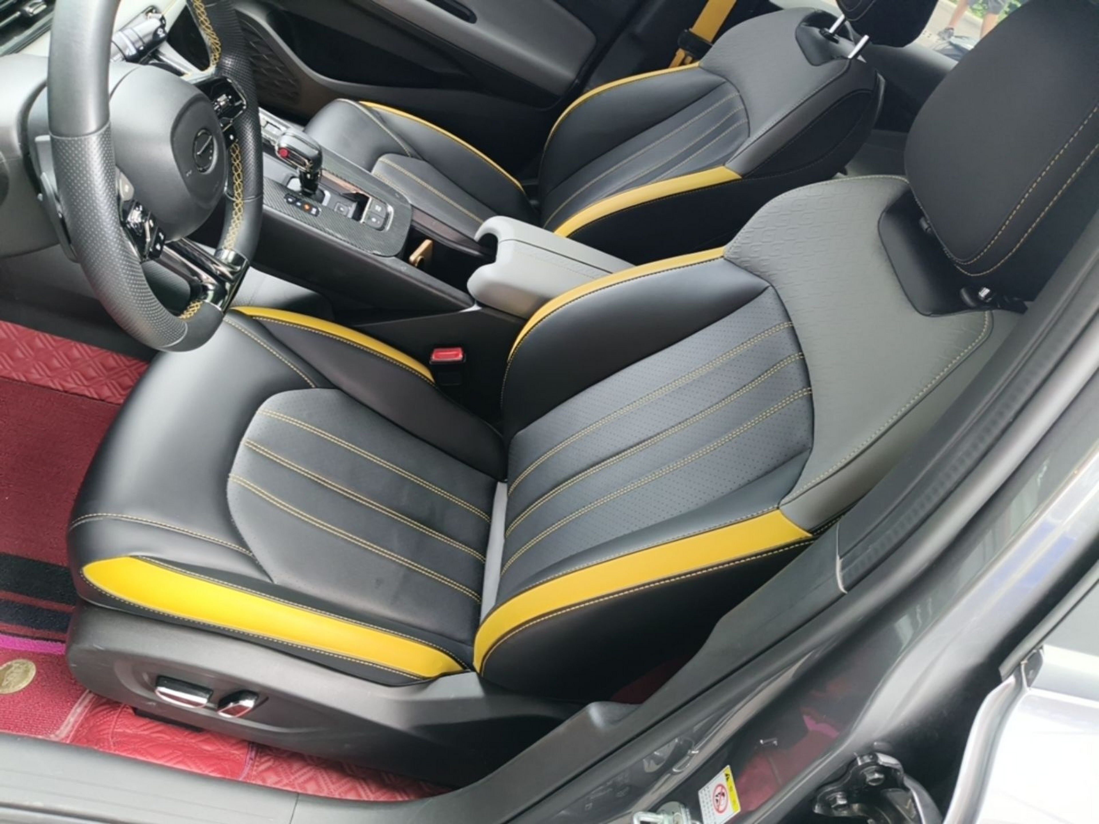 Interior delantero