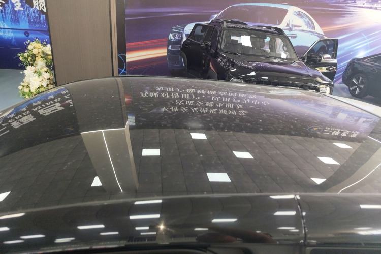 Used Chery Little Ant 2024 251km True Love Edition