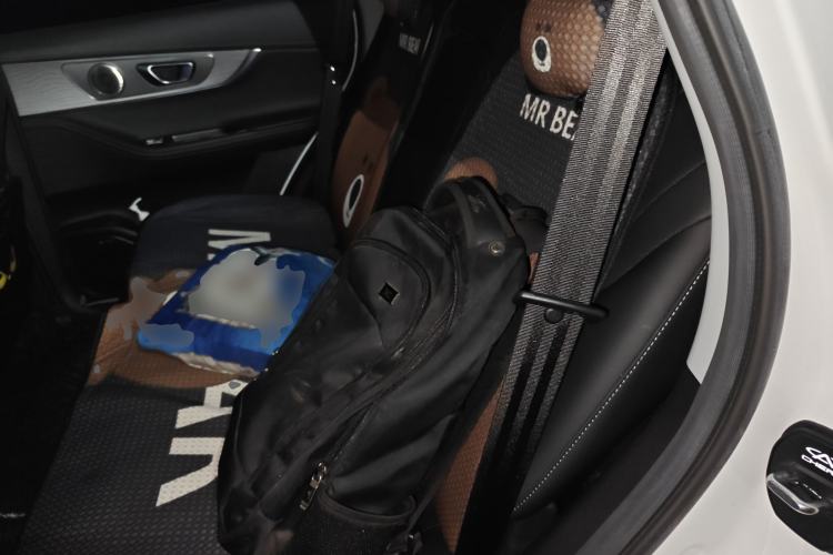 Used Chery Tiggo 8 PRO 2024 Champion Edition 290T Two-Wheel Drive Shining Version 5 Seats