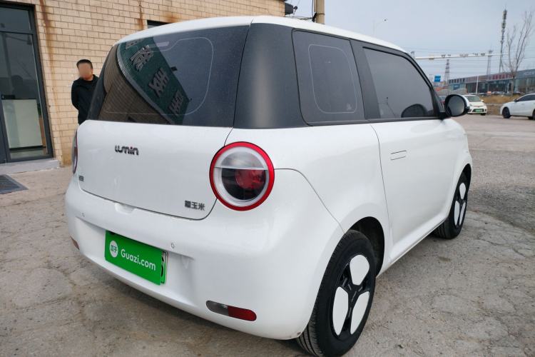 Used Qiyuan Lumin 2023 205km Xiangqin Version
