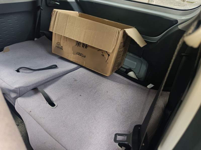Used Wuling Hongguang MINIEV 2021 Macaron Fashion Model Lithium Iron Phosphate — 18