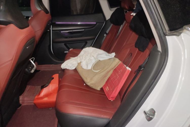 Used XPeng P7 2020 586N Left Rear Seat