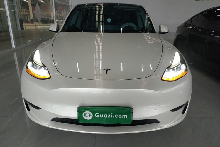 Used Tesla Model Y 2021 Standard Range Rear-Wheel Drive Version
