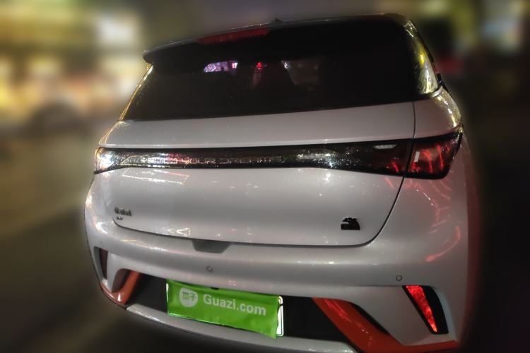 Used BYD Dolphin 2021 405 km Fashion Edition Rear