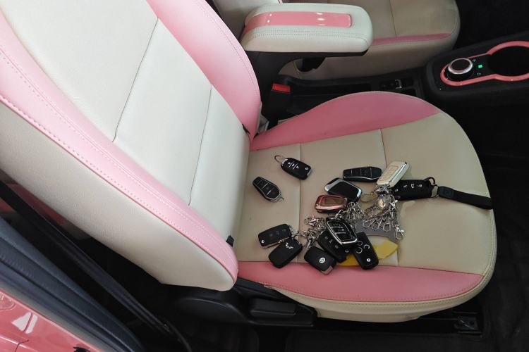 Used Chery New Energy Little Ant 2019 4-Seater Smart Edition 35 kWh Right Front Seat