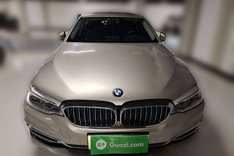 Used BMW 5 Series New Energy 2019 530Le Luxury Package