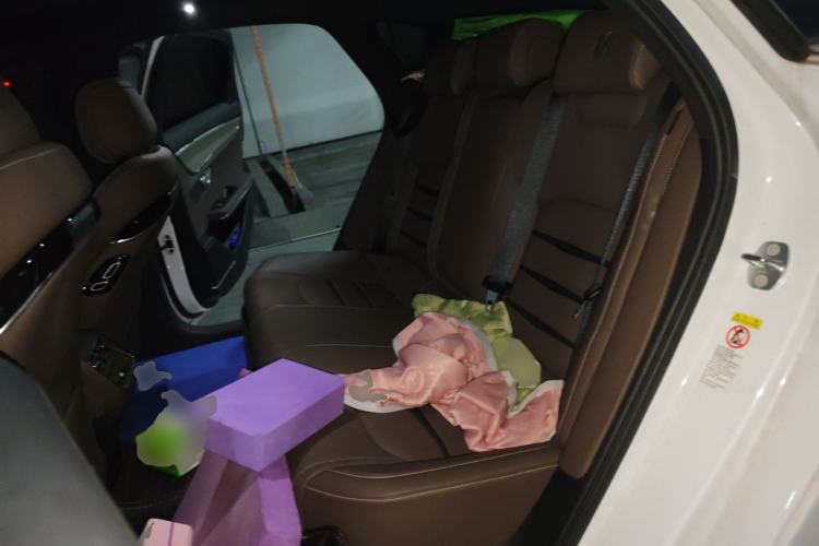 Used BYD Han 2020 DM Four-Wheel Drive Performance Edition Luxury Model Left Rear Seat