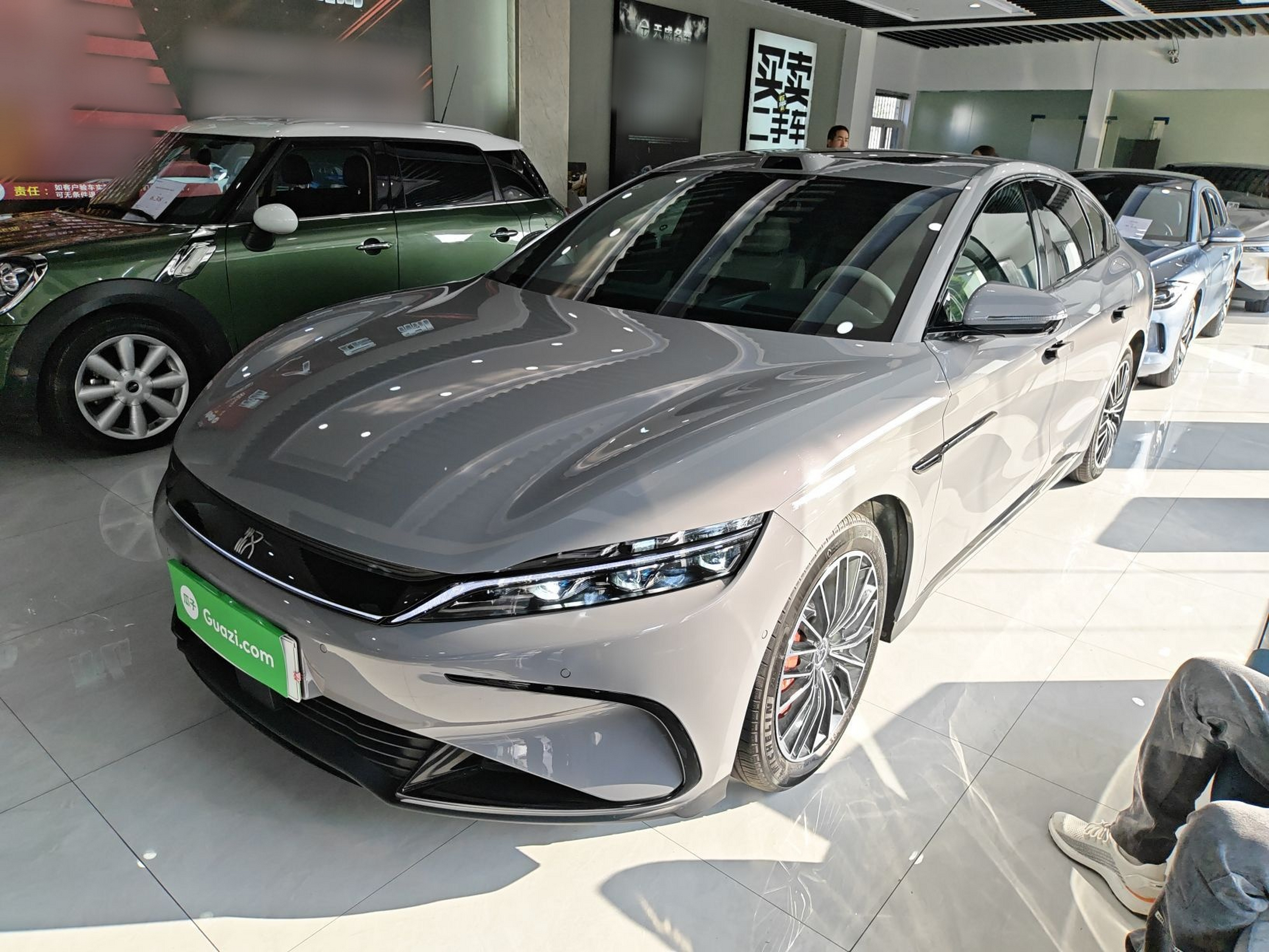 Parte inferior delantera