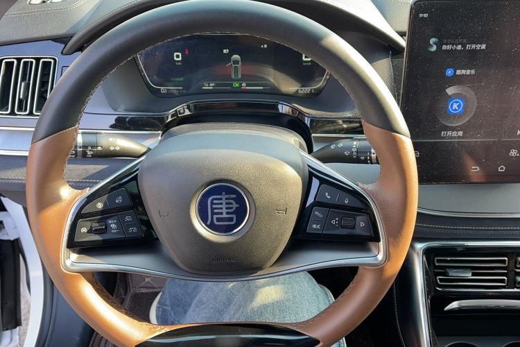 Used BYD Tang New Energy 2021 DM 2.0T Four-Wheel Drive Performance Edition Prestige Model
