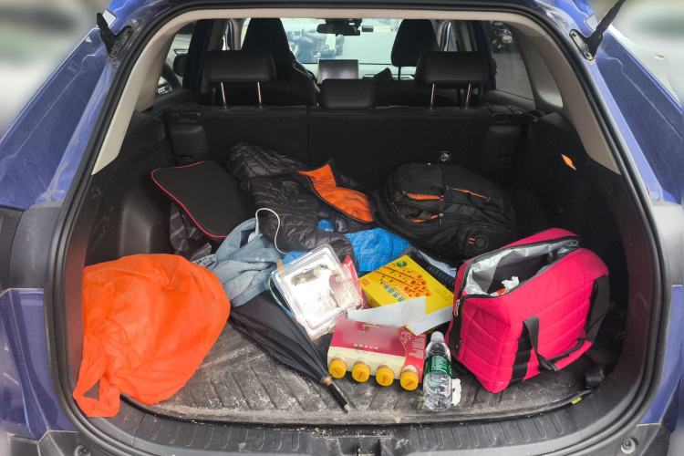 Used Toyota Wildlander New Energy 2021 High-Performance Edition 2.5L Two-Wheel Drive Powerful Version