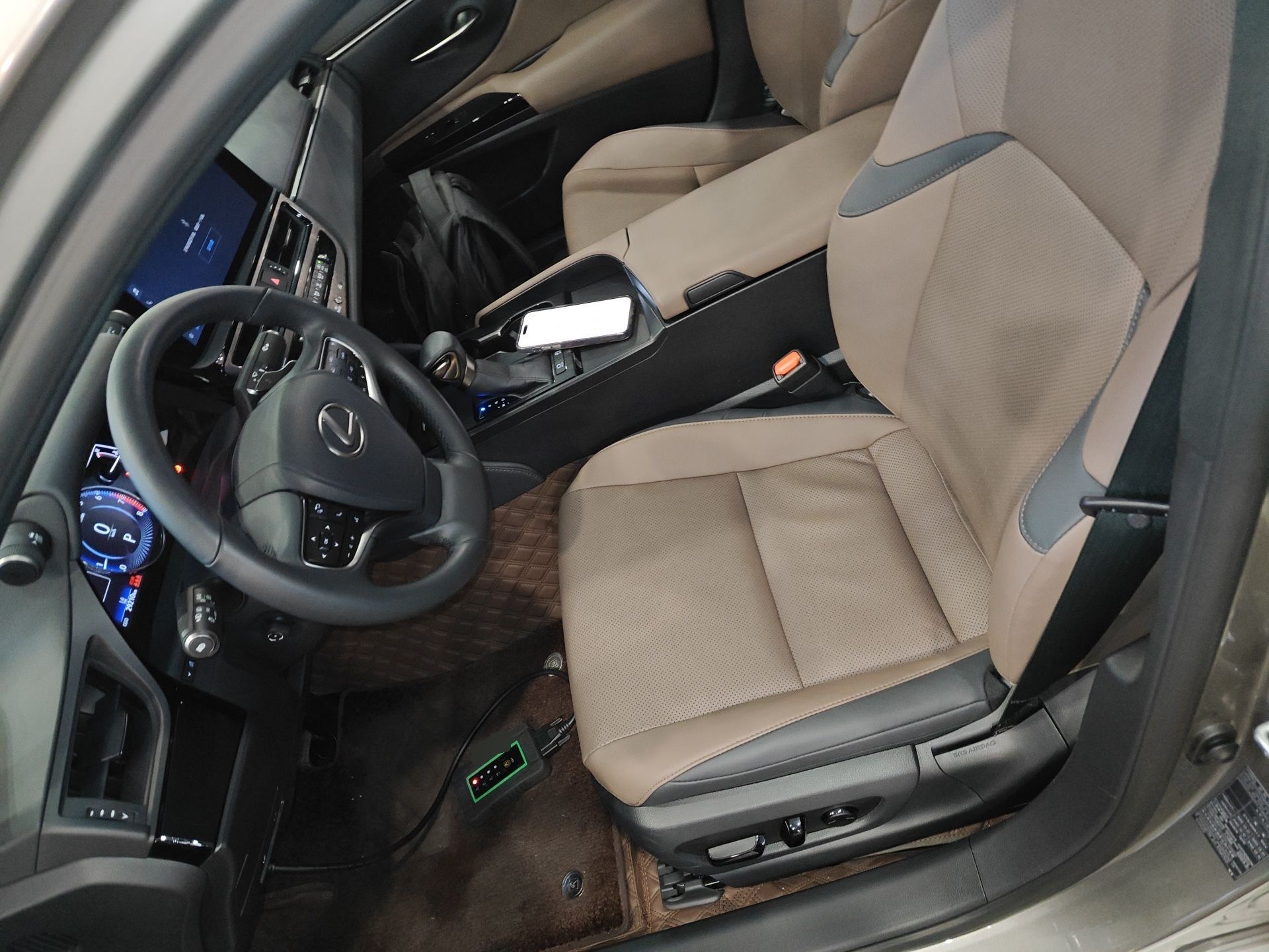 Interior delantero