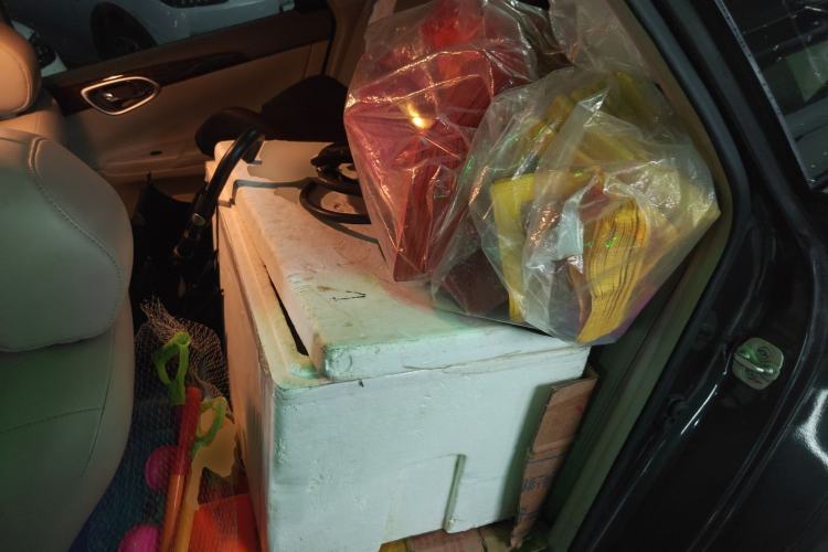 Used Nissan Sylphy 2012 1.6 XL CVT Luxury Edition Left Rear Seat