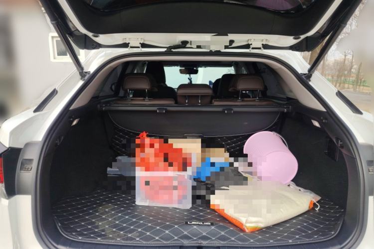 Used Lexus RX 2020 300 4x4 Elegant Edition China VI