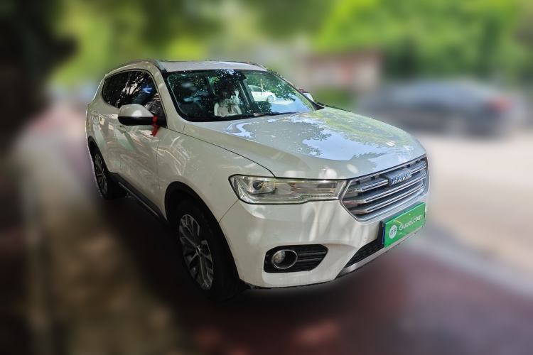 Used Haval H6 2017 Blue Label 1.5T Automatic Two-Wheel Drive Luxury Model