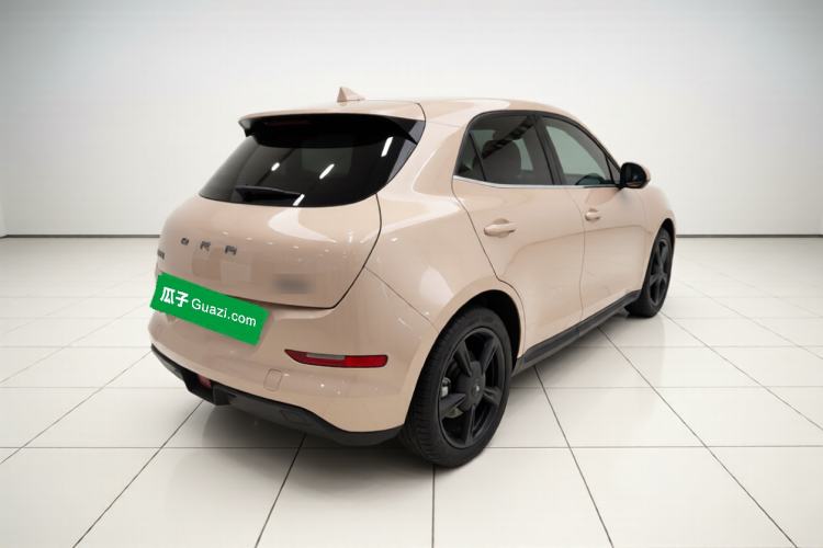 Used ORA Good Cat 2024 401 km Luxury Version Exterior 5