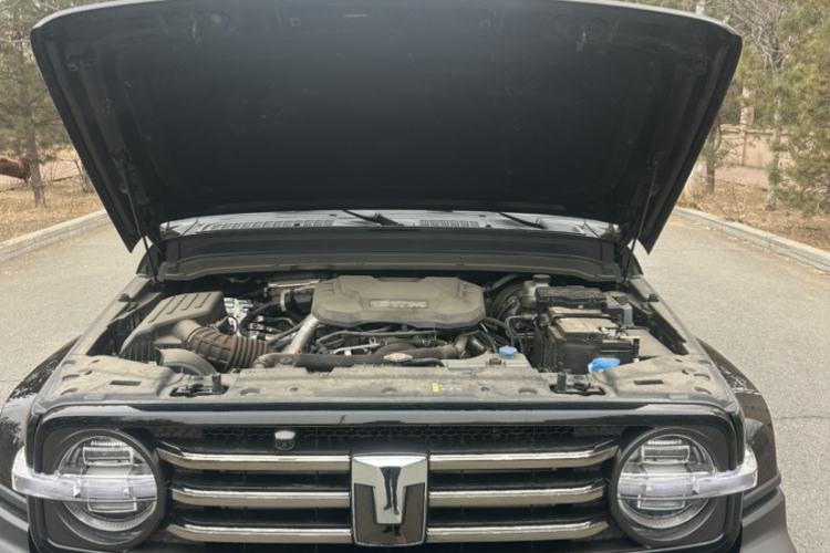 Used Tank 300 2024 2.0T Crosser Exterior 6