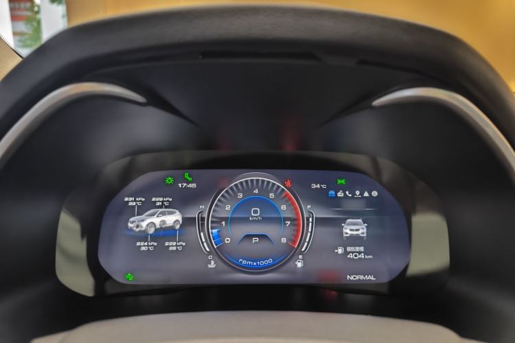 Used Wey VV6 2021 2.0T Two-Wheel Drive Smart Plus Instrument Cluster