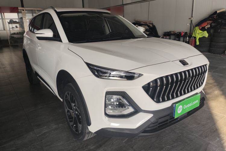 Used SOL X8 2022 Great Sage Edition 300T DCT Wanderer Model 6 Seats