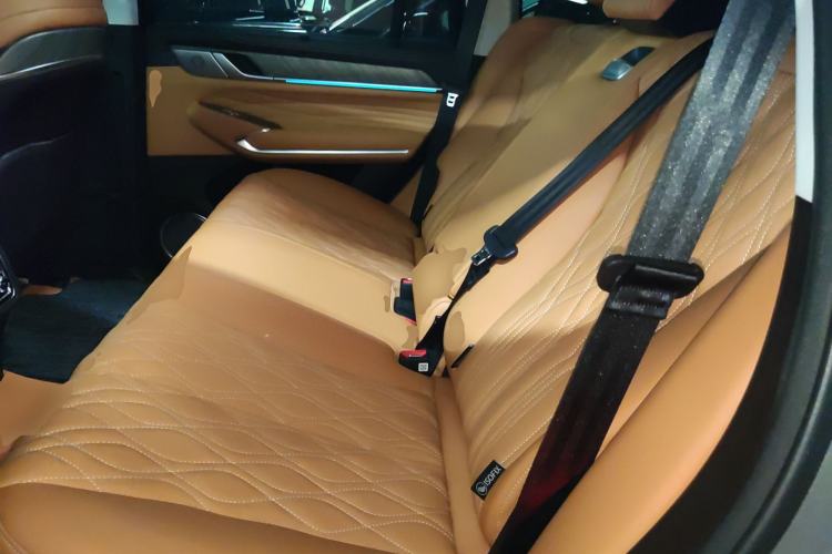 Used Tank 500 New Energy 2024 Hi4-T Left Rear Seat