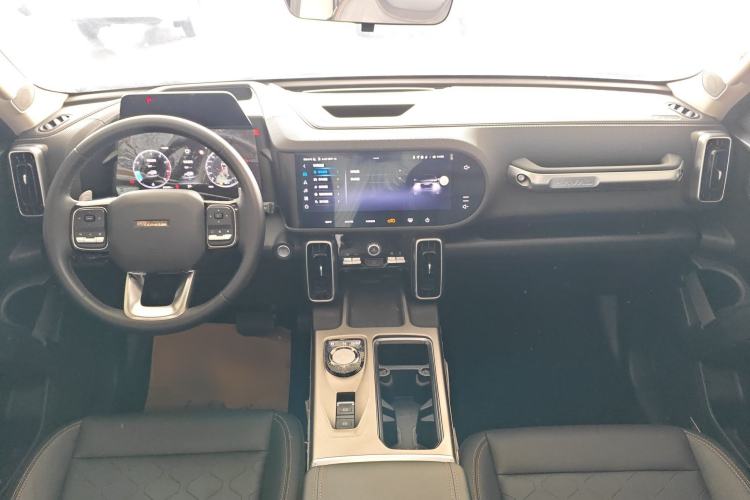 Used Haval DARGO 2024 2.0T DCT Chinese Rural Dog Edition
