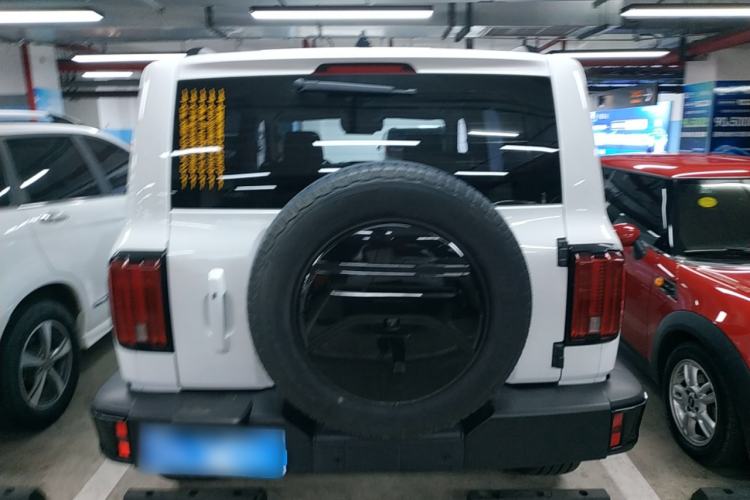 Used Tank 300 2024 2.0T Crosser
