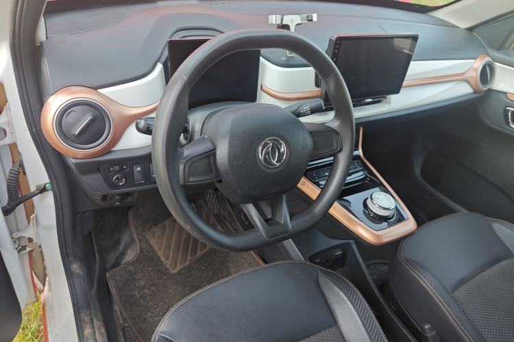 Used Dongfeng NAMMI EX1 2023 PRO Light Wind Edition Lightning Model