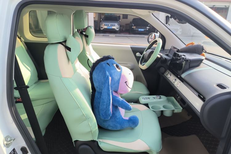 Used Qiyuan Lumin 2023 301km Honey Dew Edition
