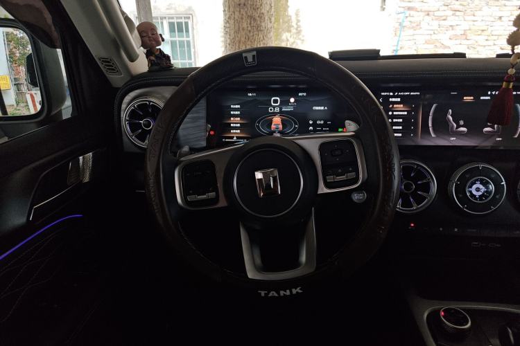 Used Tank 300 2024 2.0T Conqueror