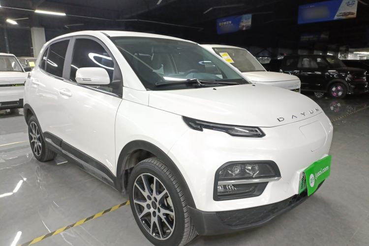 Used Dayun Yuehu 2021 32.85 kWh Two-Wheel-Drive Sprite Version
