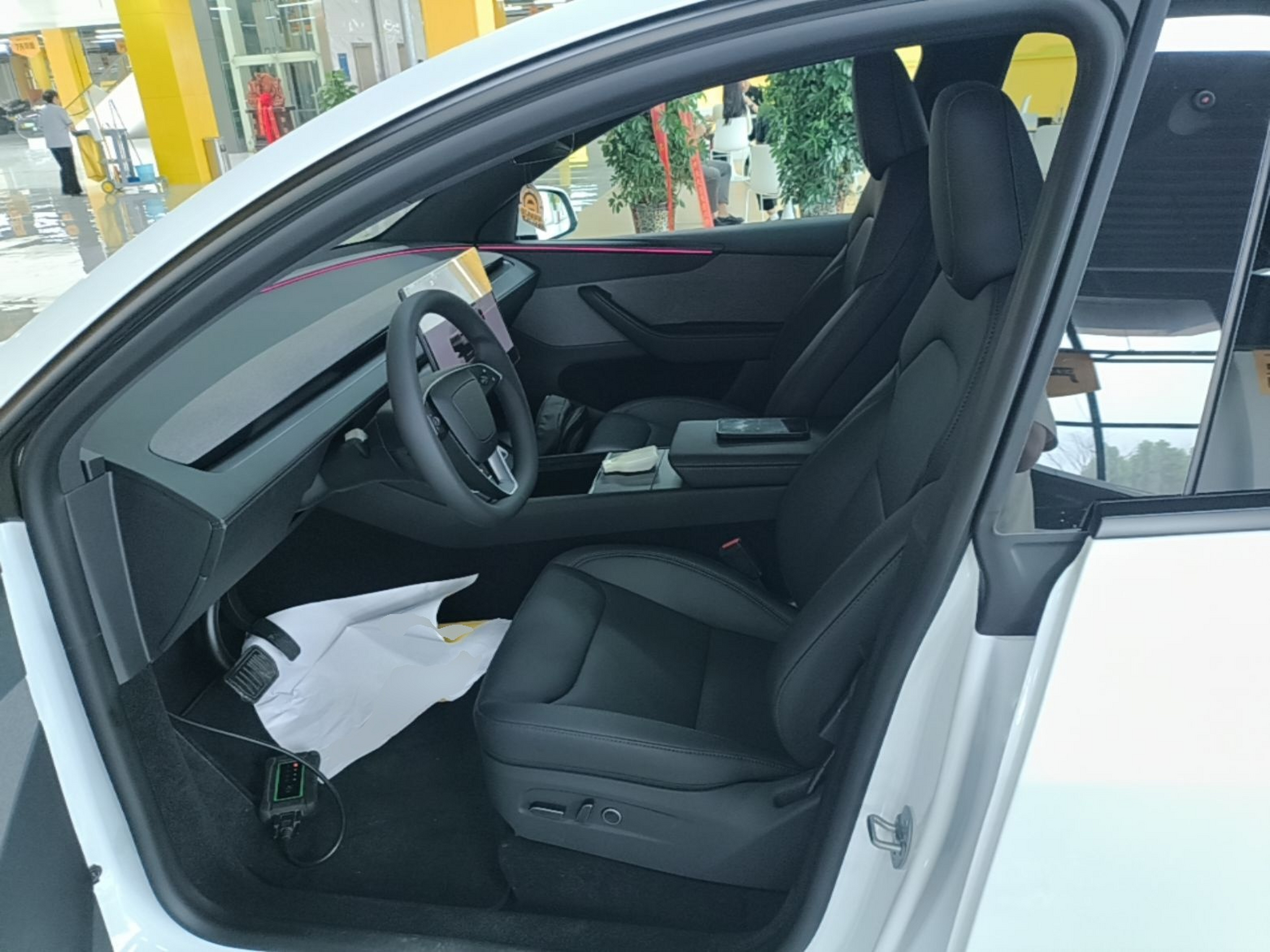 Interior delantero