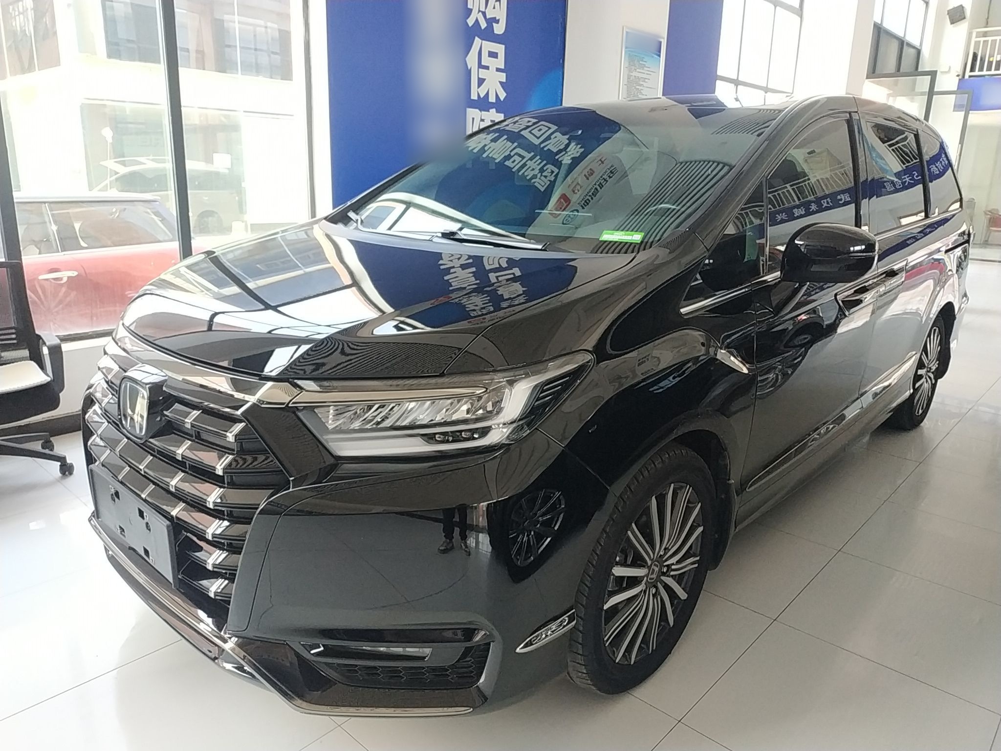 Parte inferior delantera