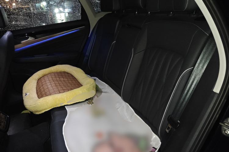 Used Volkswagen Passat 2022 330TSI Starry Luxury Edition Left Rear Seat