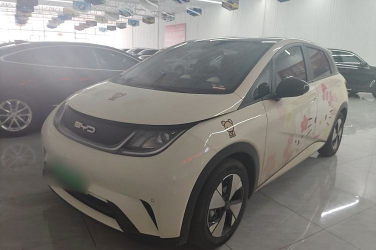 Used BYD Dolphin 2023 420 km Fashion Edition